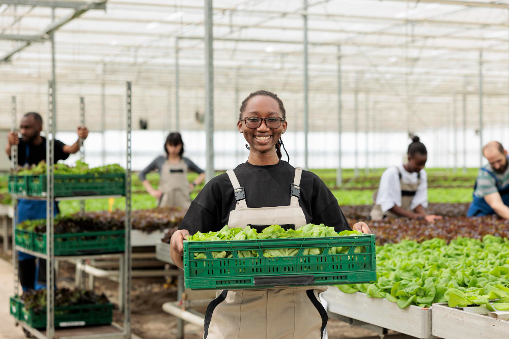 How to Start an Agro-Ecommerce Site in Nigeria with Little Money