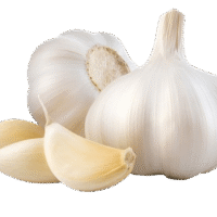 Garlic